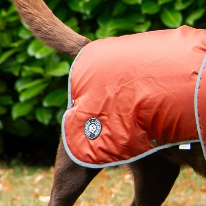 Ancol Stormguard Coat Terracotta ( XS - XXL )