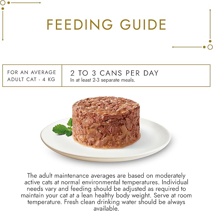 Gourmet Gold Savoury Cake with Chicken - ( 85g x 12 )