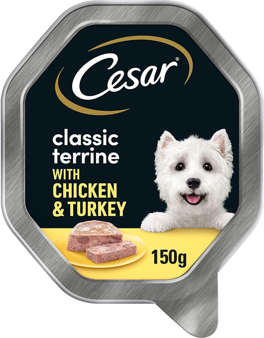Cesar Classic Terrine in Jelly 14 Trays, Adult Premium Wet Dog Food, Chicken and Turkey
