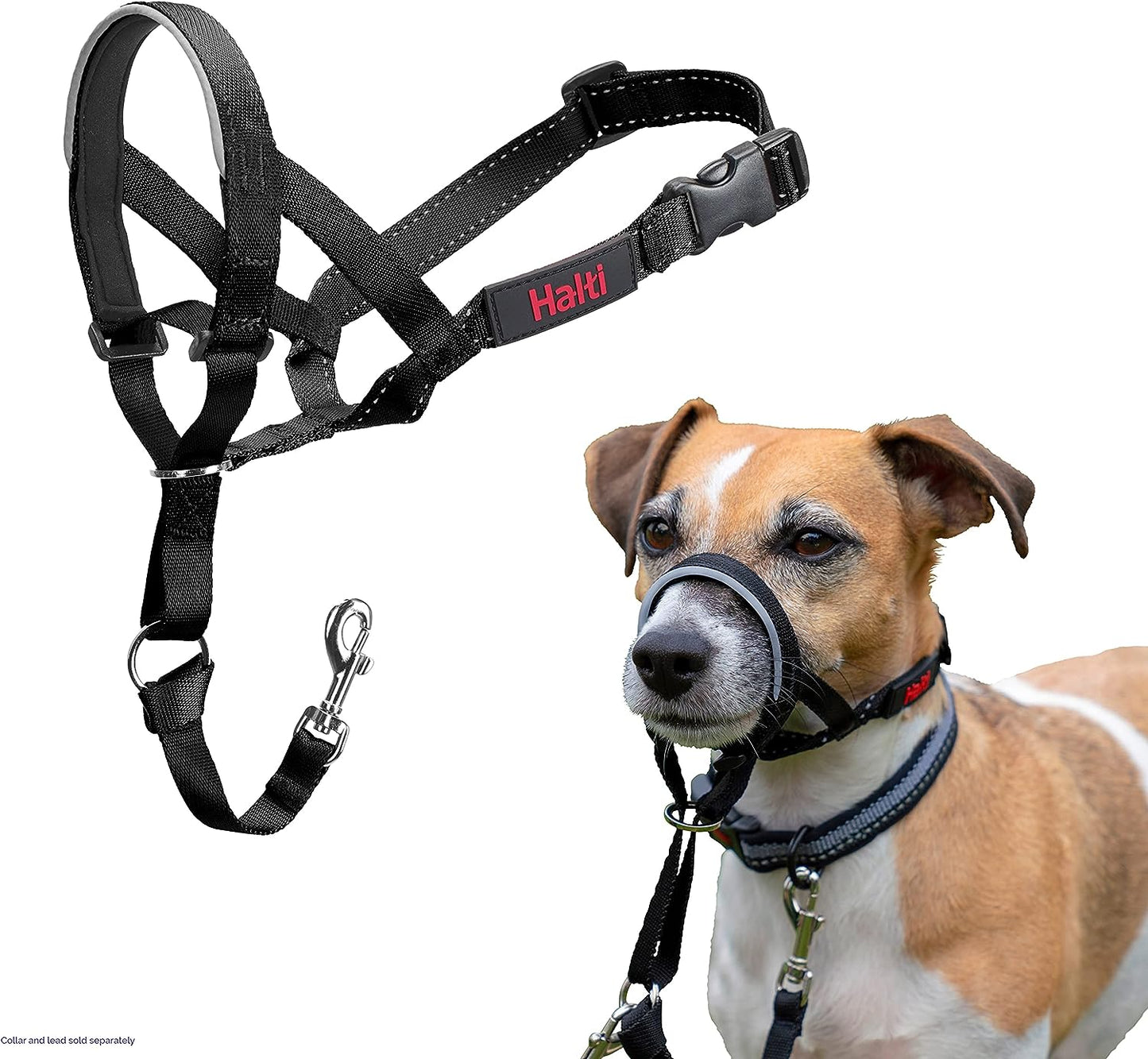 UK Bestselling Dog Head Harness to Stop Pulling on the Lead, Easy to Use, Padded Nose Band, Adjustable & Reflective, Professional Anti-Pull Training Aid for Small Dogs