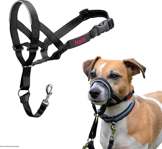 UK Bestselling Dog Head Harness to Stop Pulling on the Lead, Easy to Use, Padded Nose Band, Adjustable & Reflective, Professional Anti-Pull Training Aid for Small Dogs