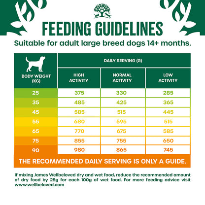 James Wellbeloved Adult Large Breed Dry Dog Food Turkey & Rice - 15kg