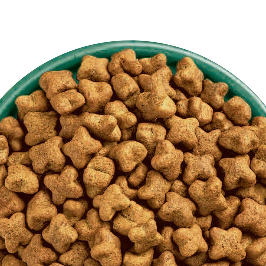 James Wellbeloved Grain Free Adult Dry Dog Food Turkey & Veg - 10kg