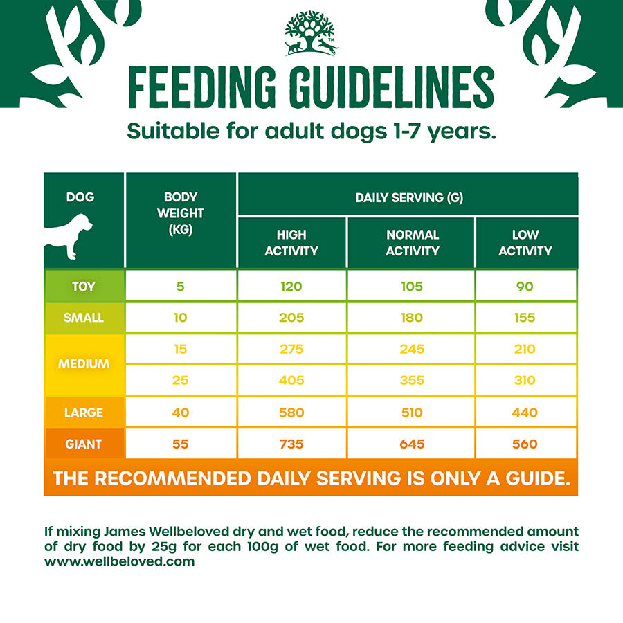 James Wellbeloved Grain Free Adult Dry Dog Food Turkey & Veg - 10kg