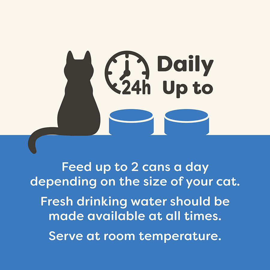 Applaws Natural Wet Adult Cat Food Ocean Fish in Broth ( 70g × 24 tins )`
