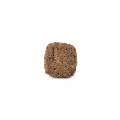 Arden Grange Dog Adult Senior - 12kg