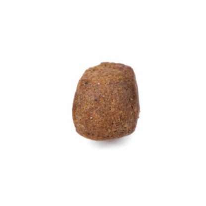 Arden Grange Dog Adult Premium - 12kg