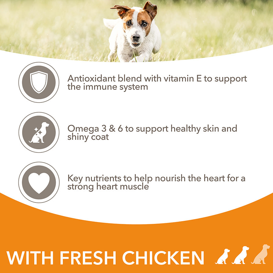 IAMS Advanced Nutrition Adult Dog Small/Medium Breed Chicken - 12kg