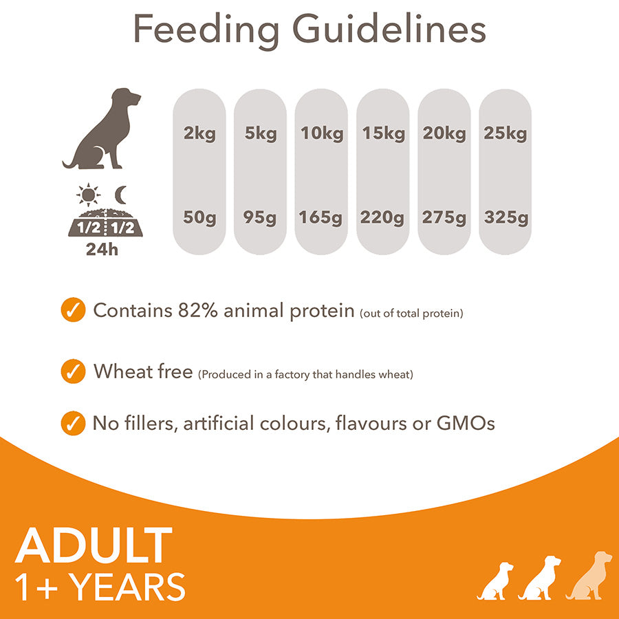 IAMS Advanced Nutrition Adult Dog Small/Medium Breed Chicken - 12kg