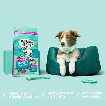 Barking Heads All Hound Tummy Loving Care Fish - 2kg
