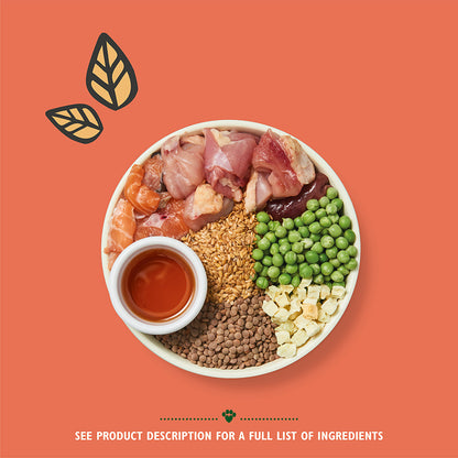 Lily's Kitchen Puppy Chicken & Salmon - 7kg