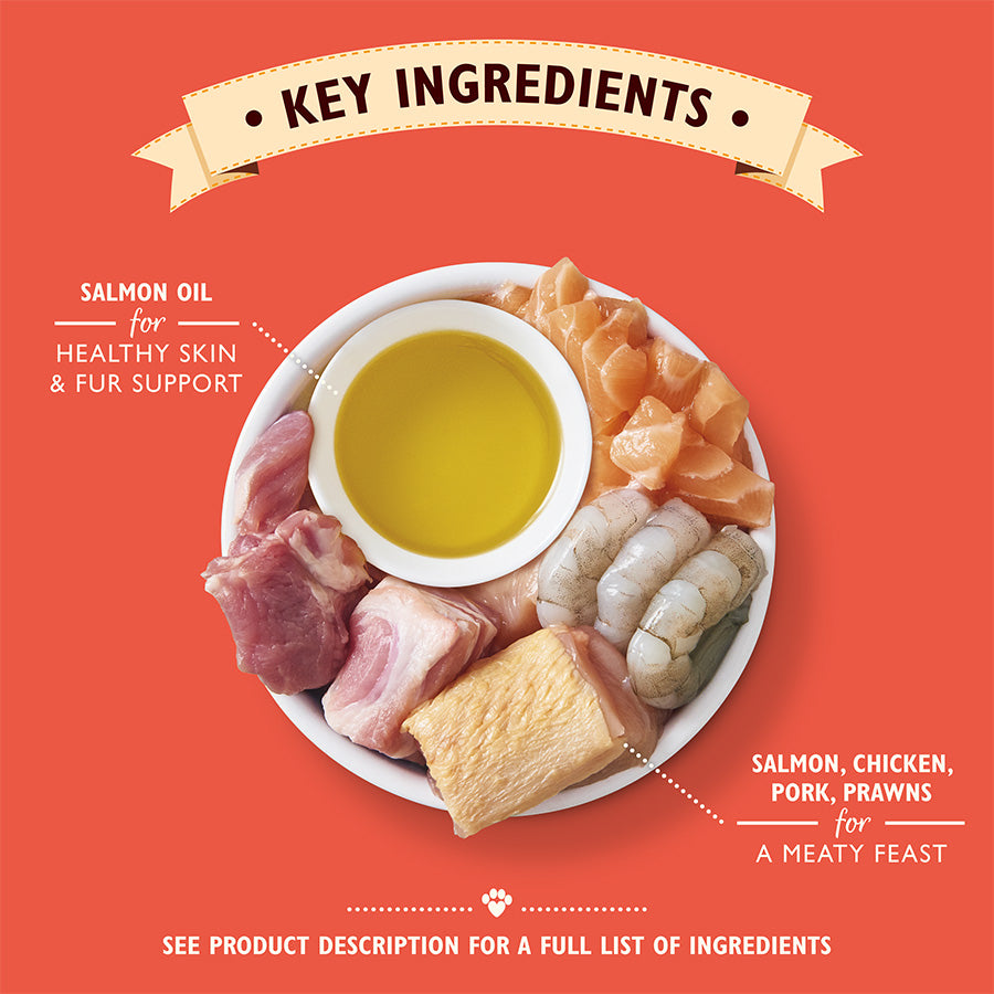 Lily's Kitchen Salmon & Chicken Pate ( 85g x 19 )