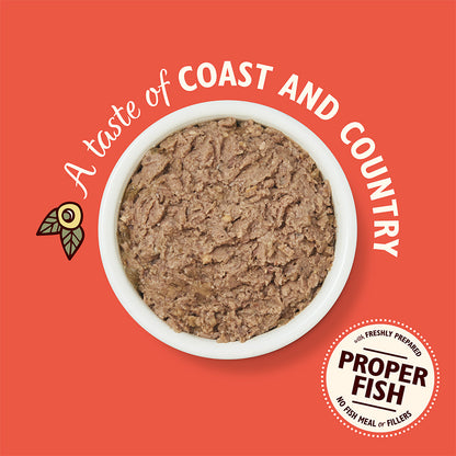 Lily's Kitchen Salmon & Chicken Pate ( 85g x 19 )