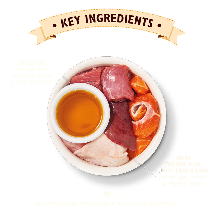 Lily's Kitchen Chicken pate for mature cats ( 85g x 19 )