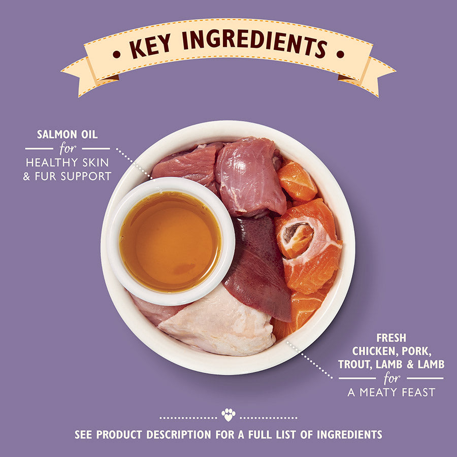 Lily's Kitchen Chicken pate for mature cats ( 85g x 19 )