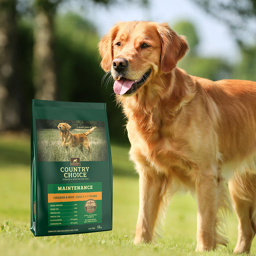 Gelert Country Choice Maintenance Chicken & Rice - 12kg