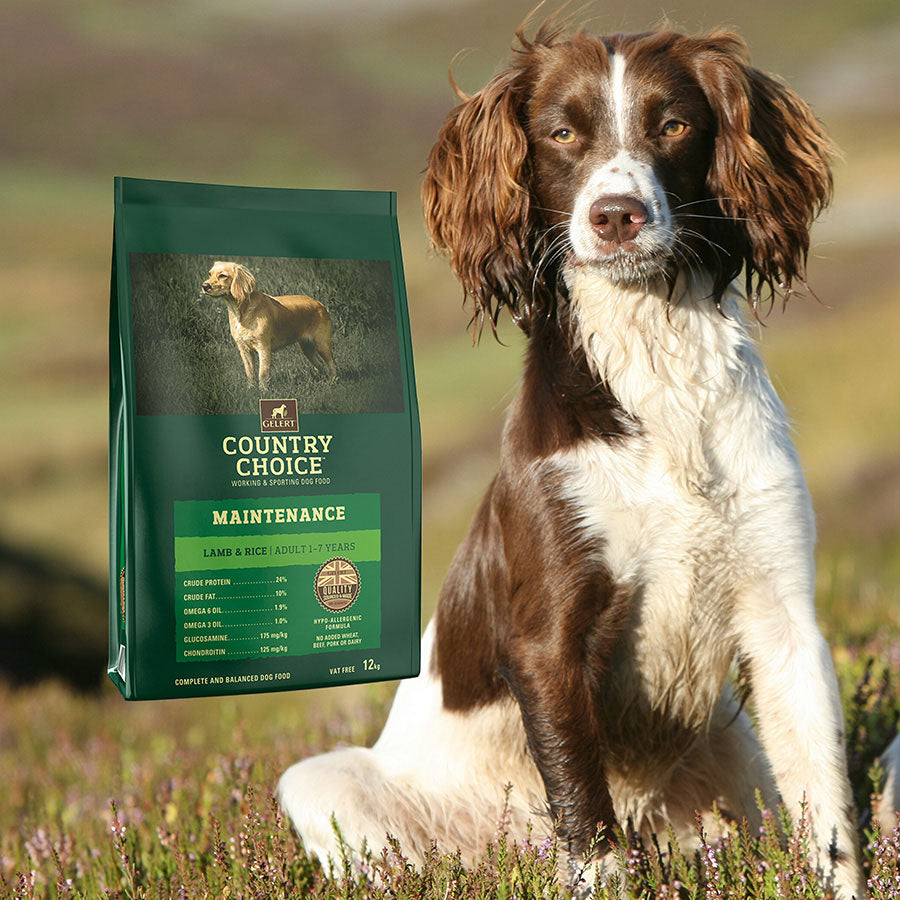 Gelert Country Choice Maintenance Lamb & Rice - 12kg
