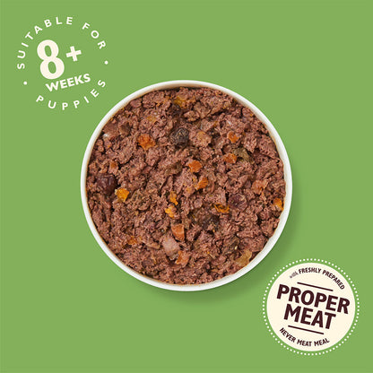 Lily's Kitchen Puppy Recipe Turkey & Duck ( 150g x 10 )