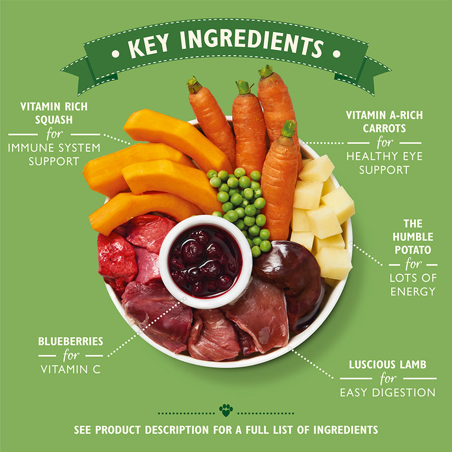Lily's Kitchen Classic Dinners 6pack , 150g