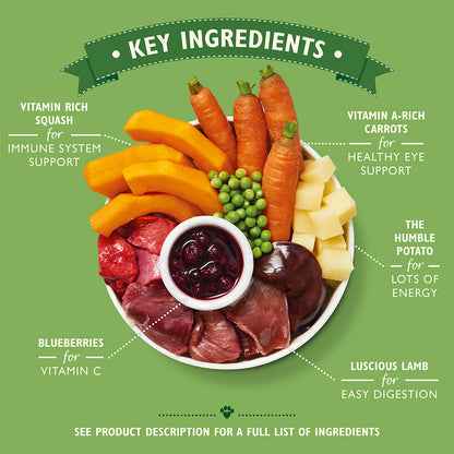 Lily's Kitchen Classic Dinners 6pack , 150g