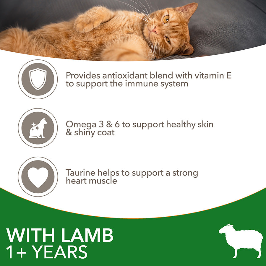 IAMS Adult Dry Cat Food Lamb ( 2kg x 2 )
