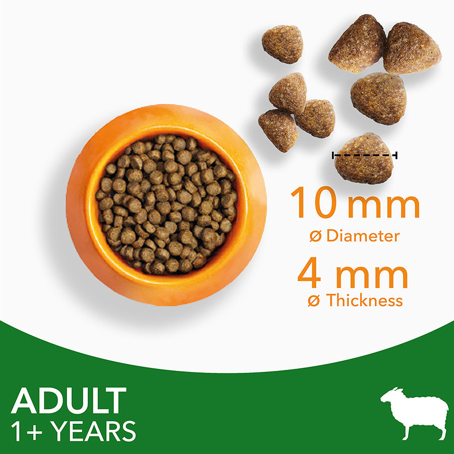 IAMS Adult Dry Cat Food Lamb ( 2kg x 2 )