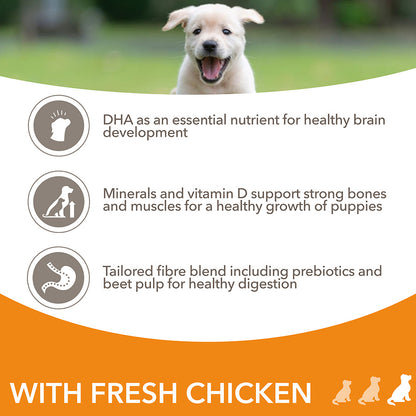 IAMS Advanced Nutrition Puppy Large Breed - 2kg