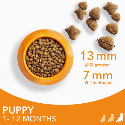 IAMS Advanced Nutrition Puppy Large Breed - 2kg
