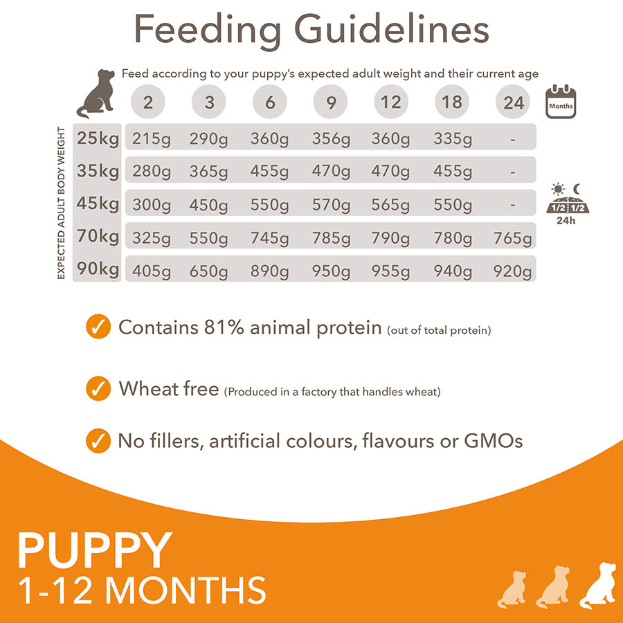 IAMS Advanced Nutrition Puppy Large Breed - 2kg