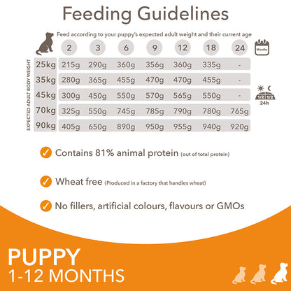 IAMS Advanced Nutrition Puppy Large Breed - 2kg