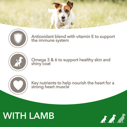 IAMS Advanced Nutrition Dog with Lamb small and medium breed 1+ Years - 2kg