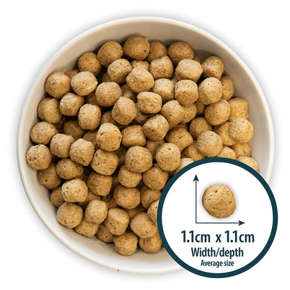 Burns Sensitive Duck and Brown Rice Dry Dog Food - 12kg