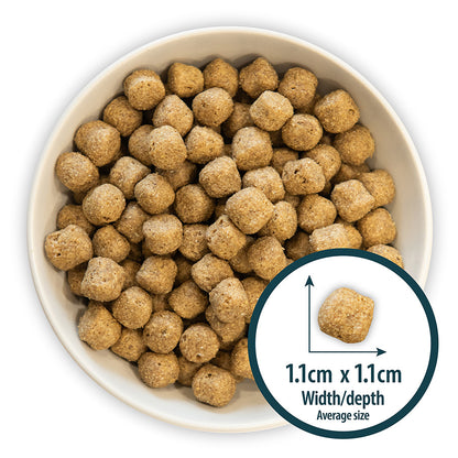 Burns Sensitive Pork and Potato Dry Dog Food - 6kg