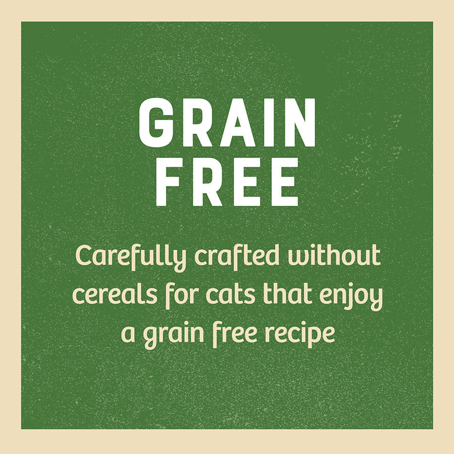 James Wellbeloved Grain Free Adult Cat Food Pouches Turkey in Gravy (24 x 85g)