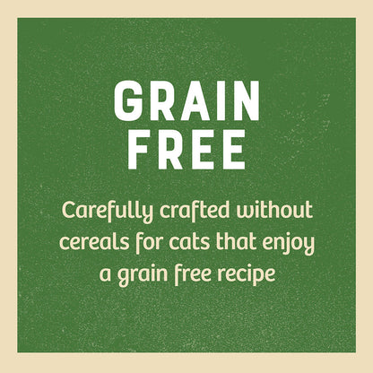 James Wellbeloved Grain Free Adult Cat Food Pouches Turkey in Gravy (24 x 85g)