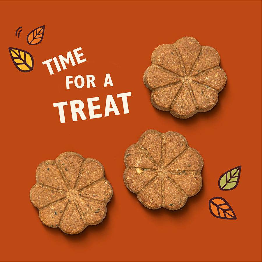 Lily's Kitchen Dog Breaktime Biscuits ( 80g x 8 )