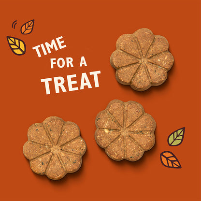 Lily's Kitchen Dog Breaktime Biscuits ( 80g x 8 )