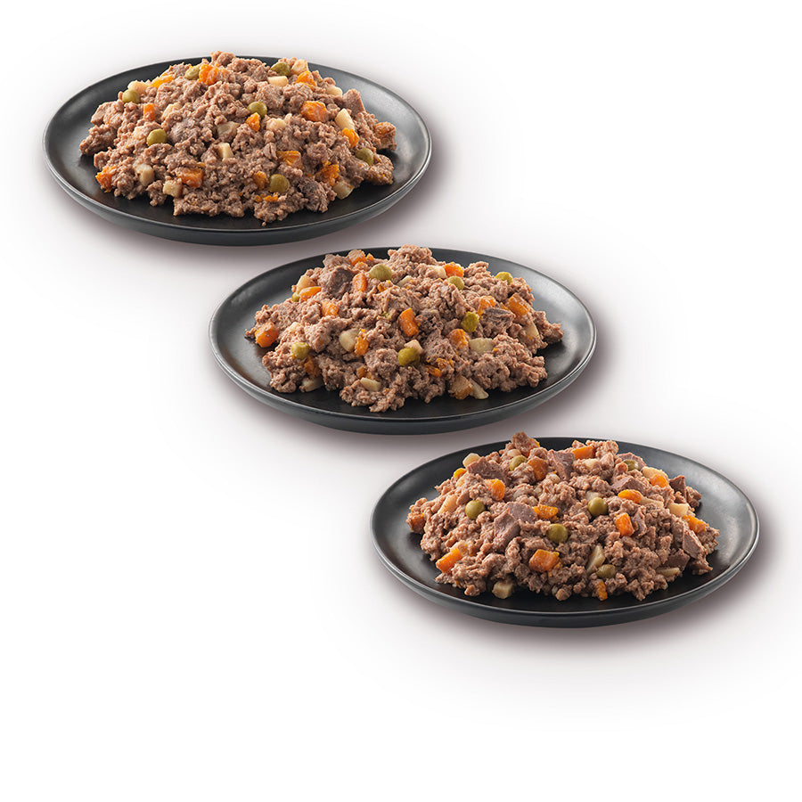 James Wellbeloved Grain Free Adult Wet Dog Food Turkey, Lamb & Chicken in Loaf 12 Pack