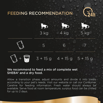 Sheba Fresh & Fine Wet Cat Food Pouches Tuna & Salmon in Jelly (6x50g) x 8 Pack
