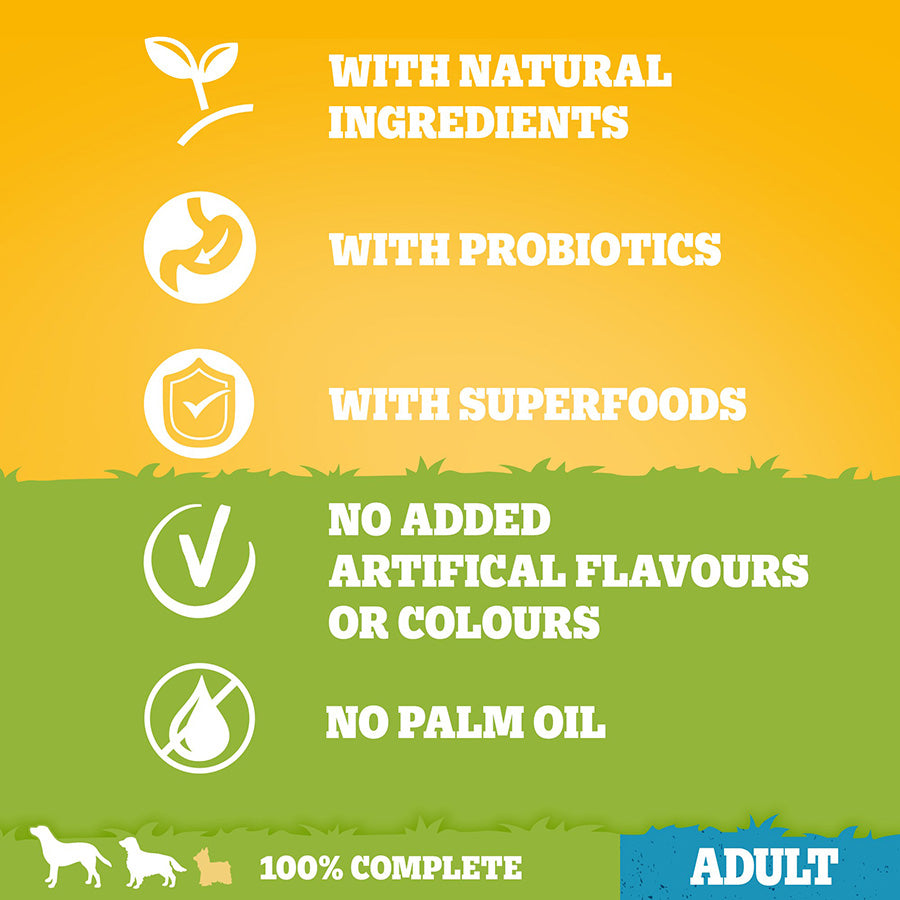 PEDIGREE COMPLETE Adult Small Dog Dry Poultry and Vegetables 3kg