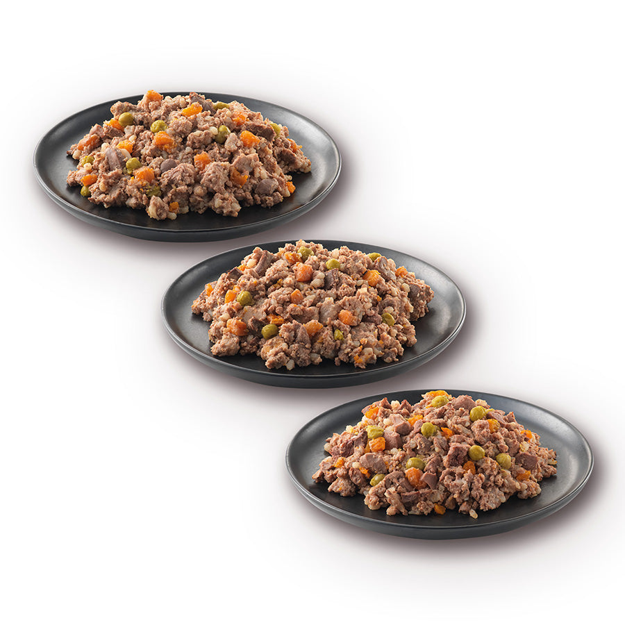 James Wellbeloved Senior Wet Dog Food Turkey, Lamb & Chicken 12 Pack
