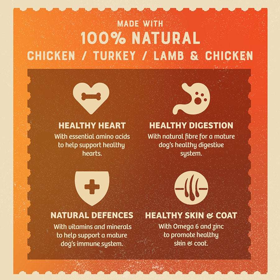 James Wellbeloved Senior Wet Dog Food Turkey, Lamb & Chicken 12 Pack