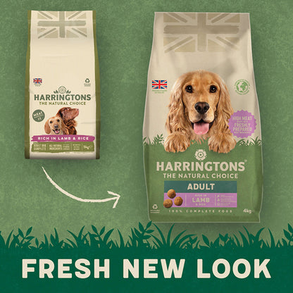 Harringtons Adult Dog Lamb - 4kg