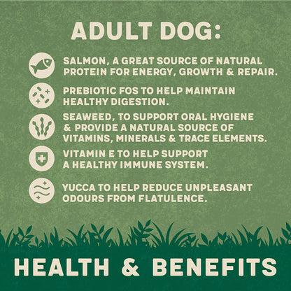 Harringtons Adult Dog Salmon & Potato - 1.7kg