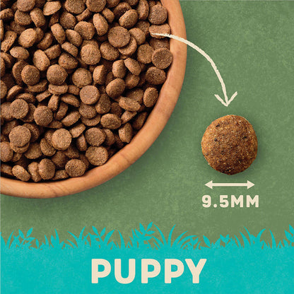 Harringtons Puppy Turkey & Rice - 1.7kg