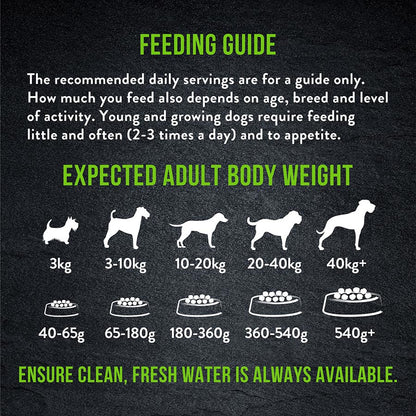 Harringtons Just 6 Dry Dog Food Lamb - 2kg