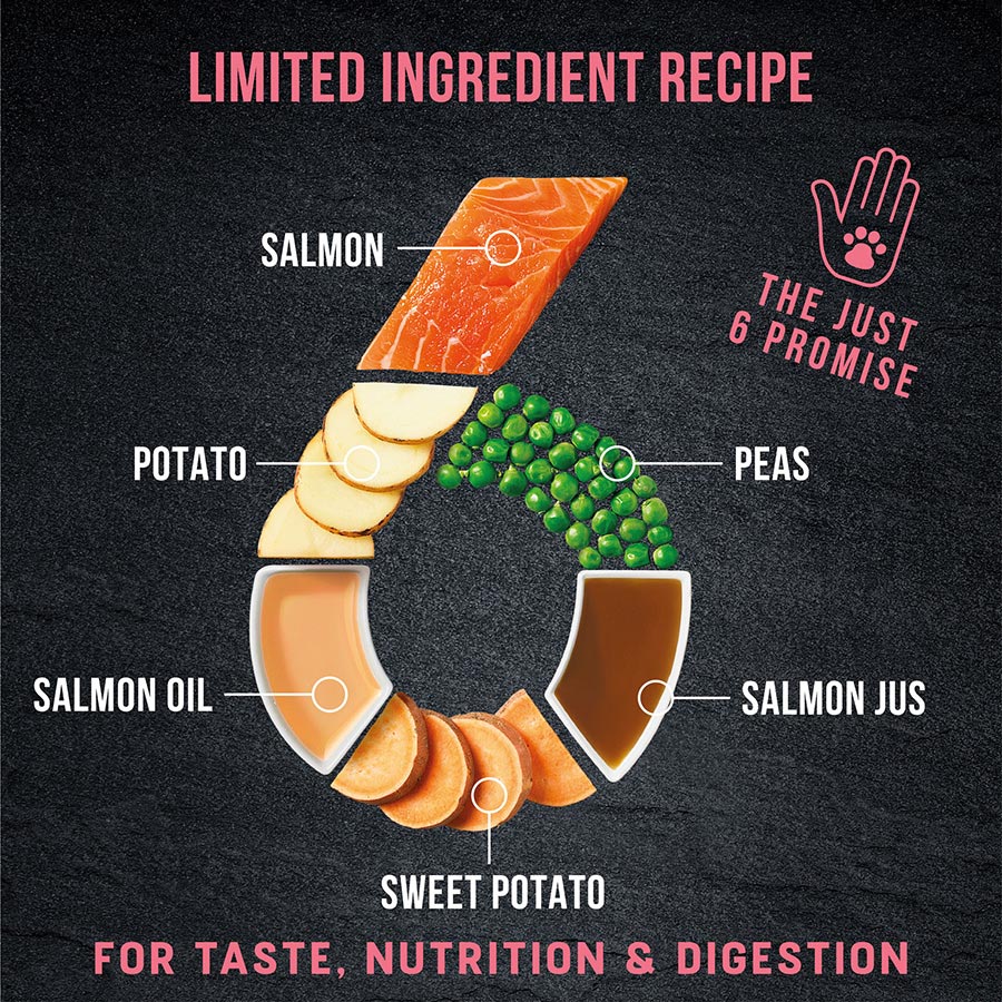 Harringtons Just 6 Dry Dog Food Salmon  - 2kg