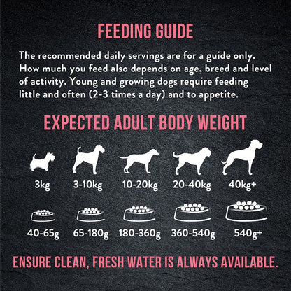 Harringtons Just 6 Dry Dog Food Salmon  - 2kg