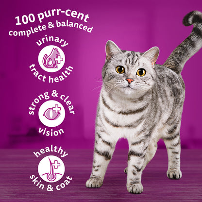 Whiskas 1+ Chicken Adult Dry Cat Food (3.8kg × 3)