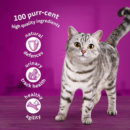 Whiskas 7+ Senior Wet Cat Food Fish Favourites in Jelly, (12 x 85g) x 4